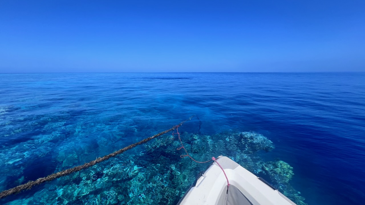 How good are these conditions!