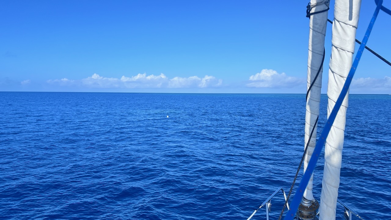 Perfect Reef conditions