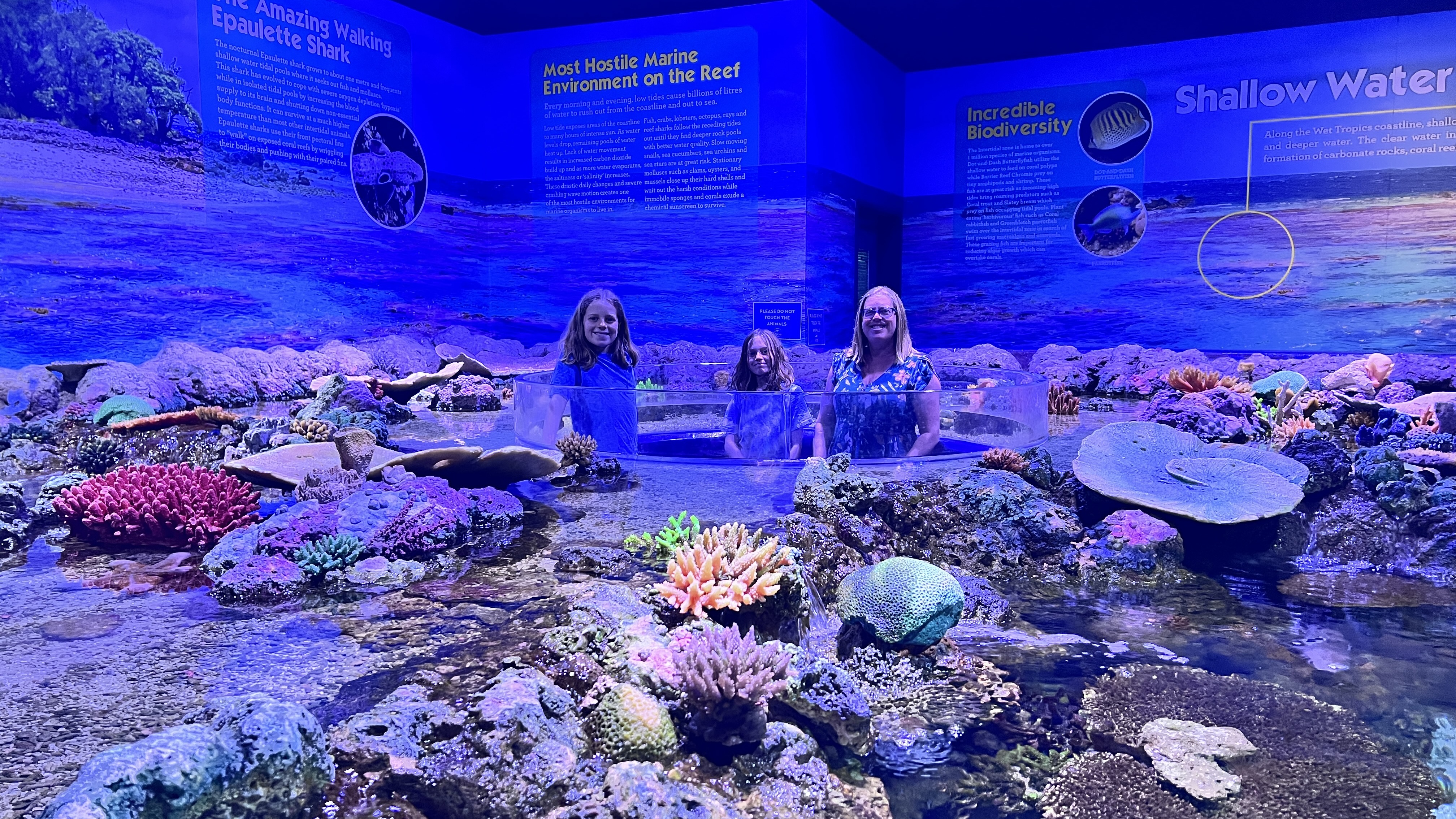 Coral display