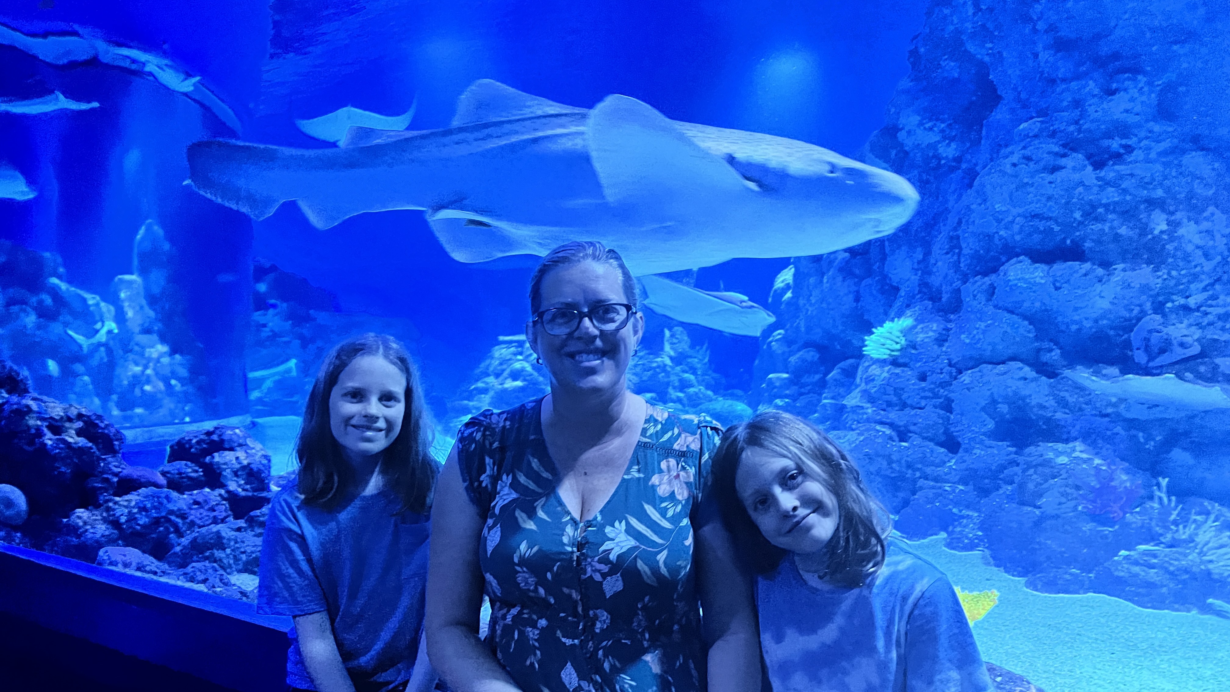 The girls and a shark