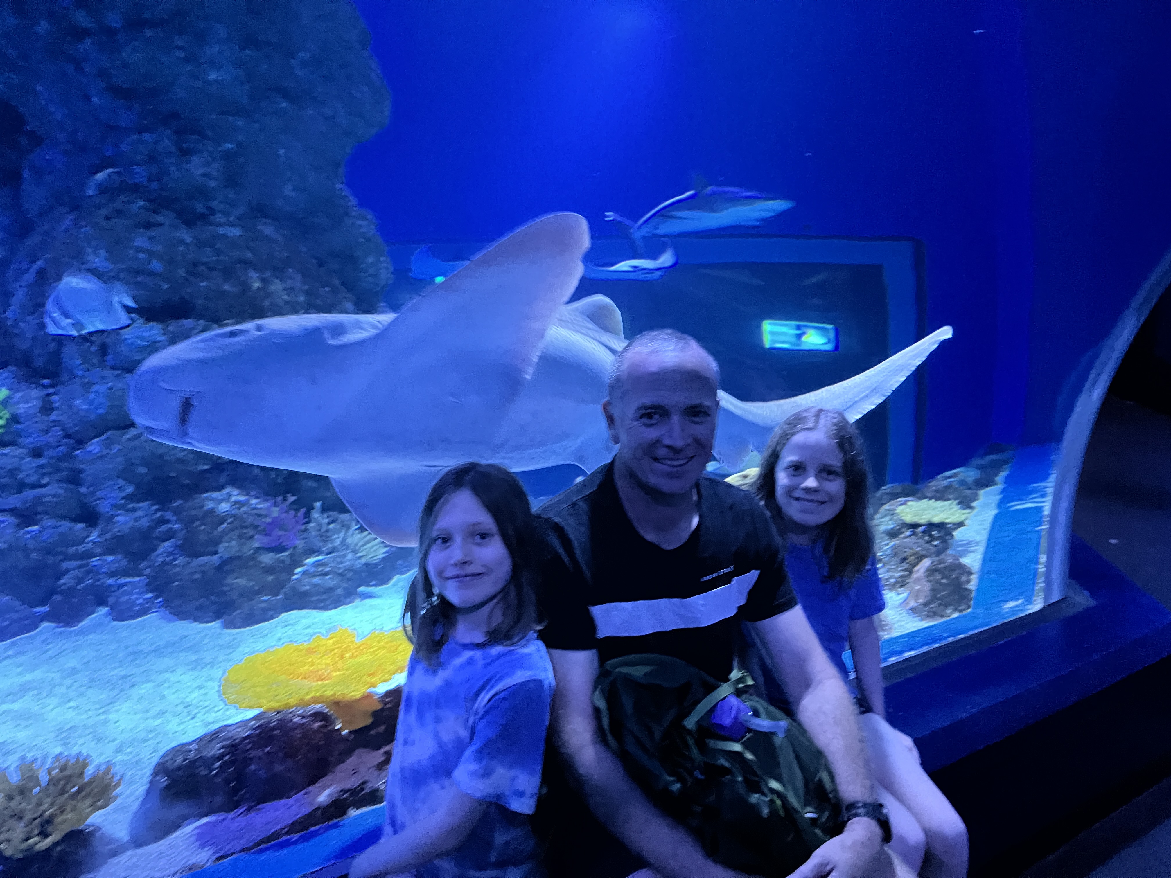 The girls and I with a Leopard shark swimming past