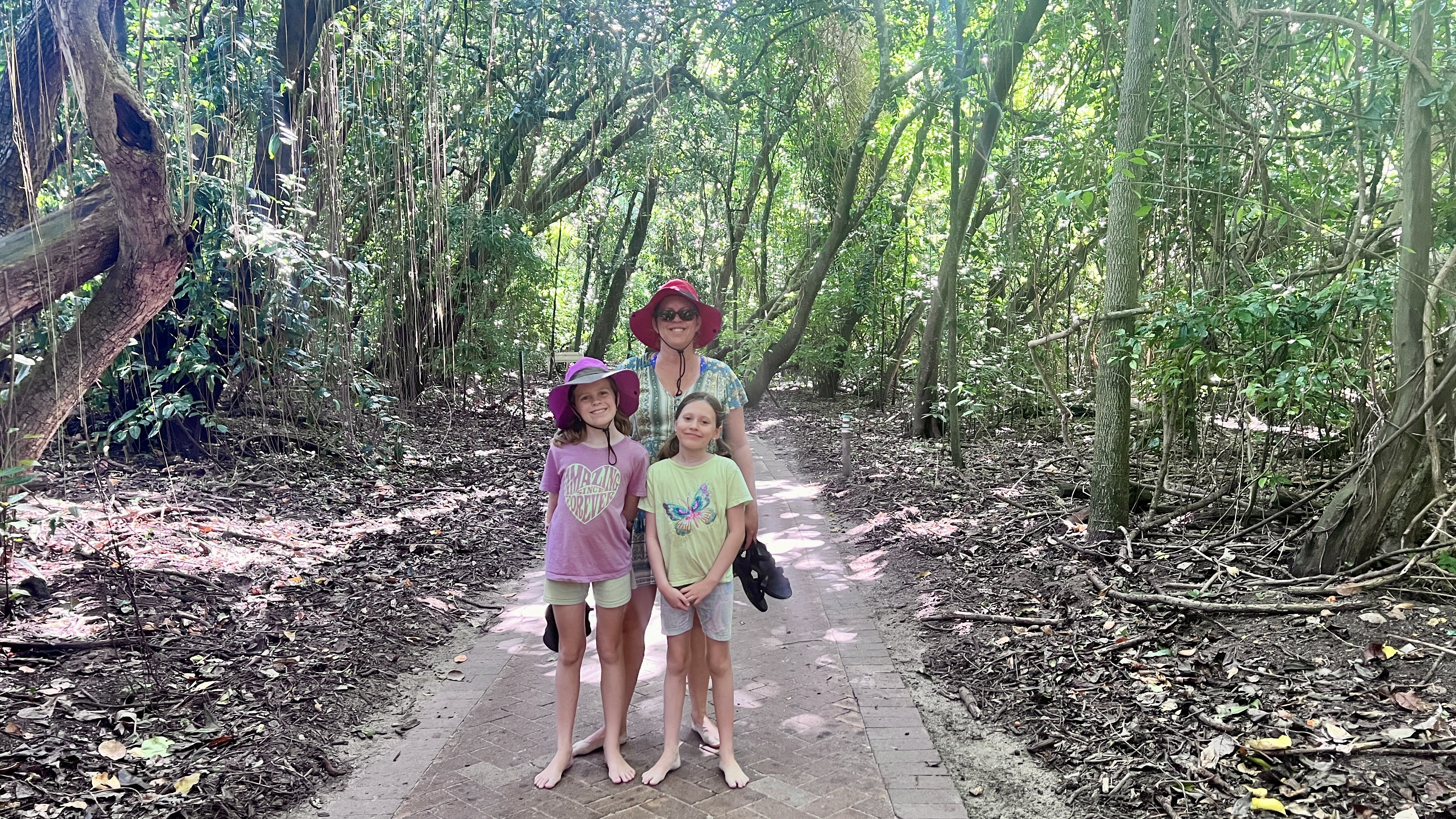 Walking down the forest track on Green Island