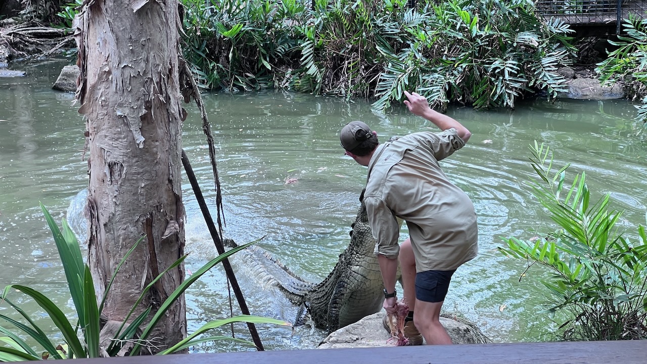 The croc feeding show was very entertaining