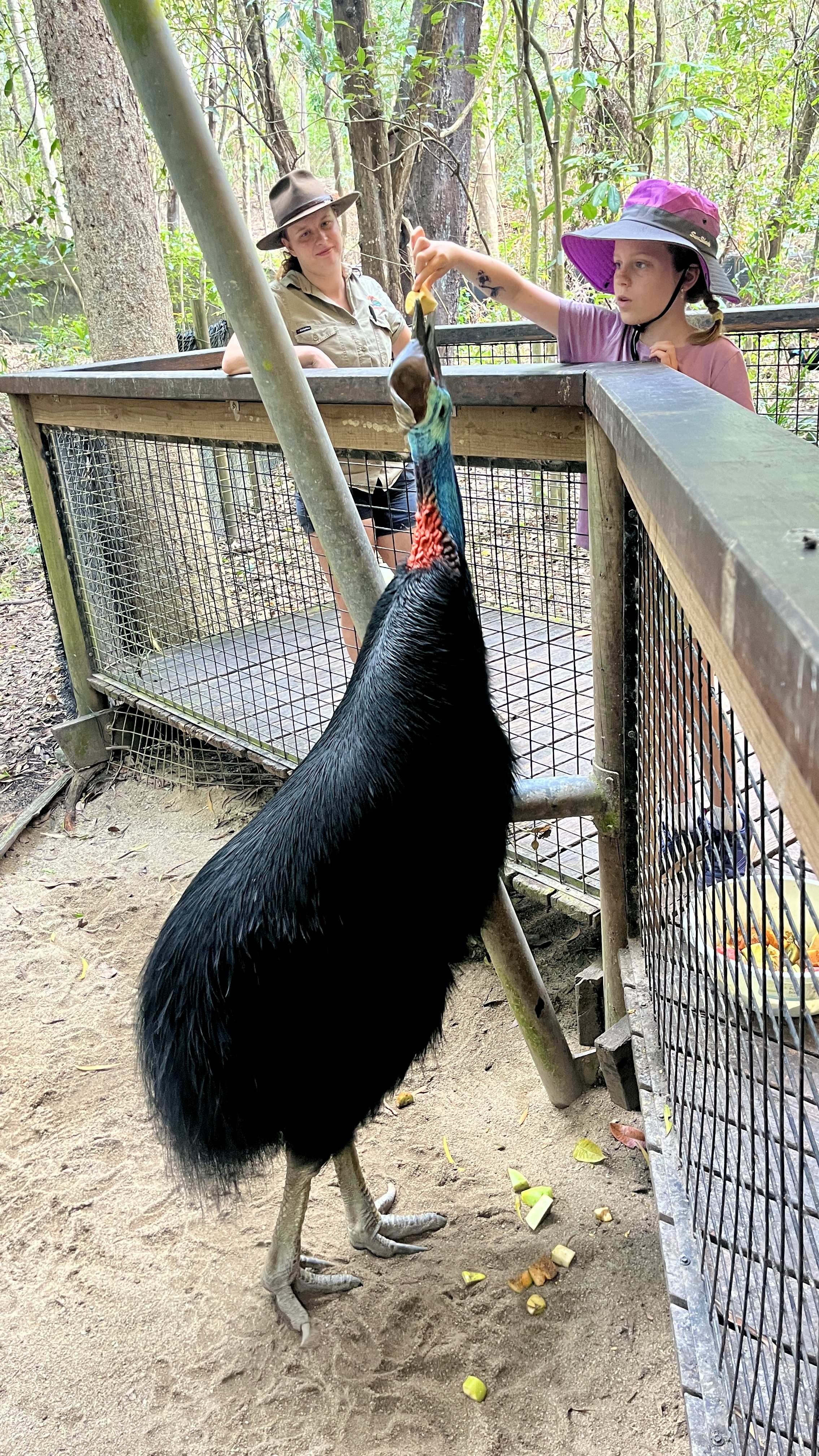 Kristina did well with feeding the Cassowary