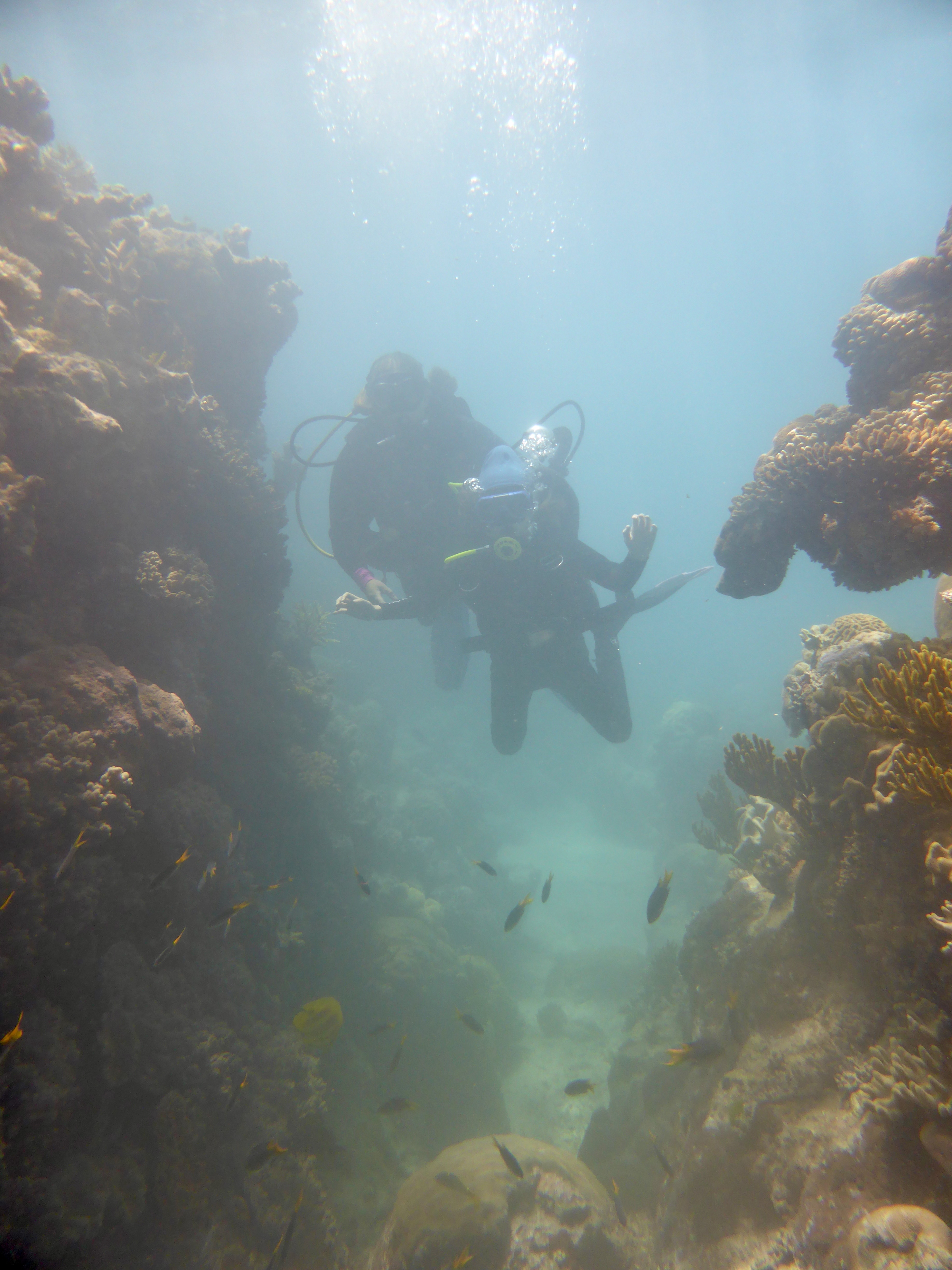 Kristina loved her dive