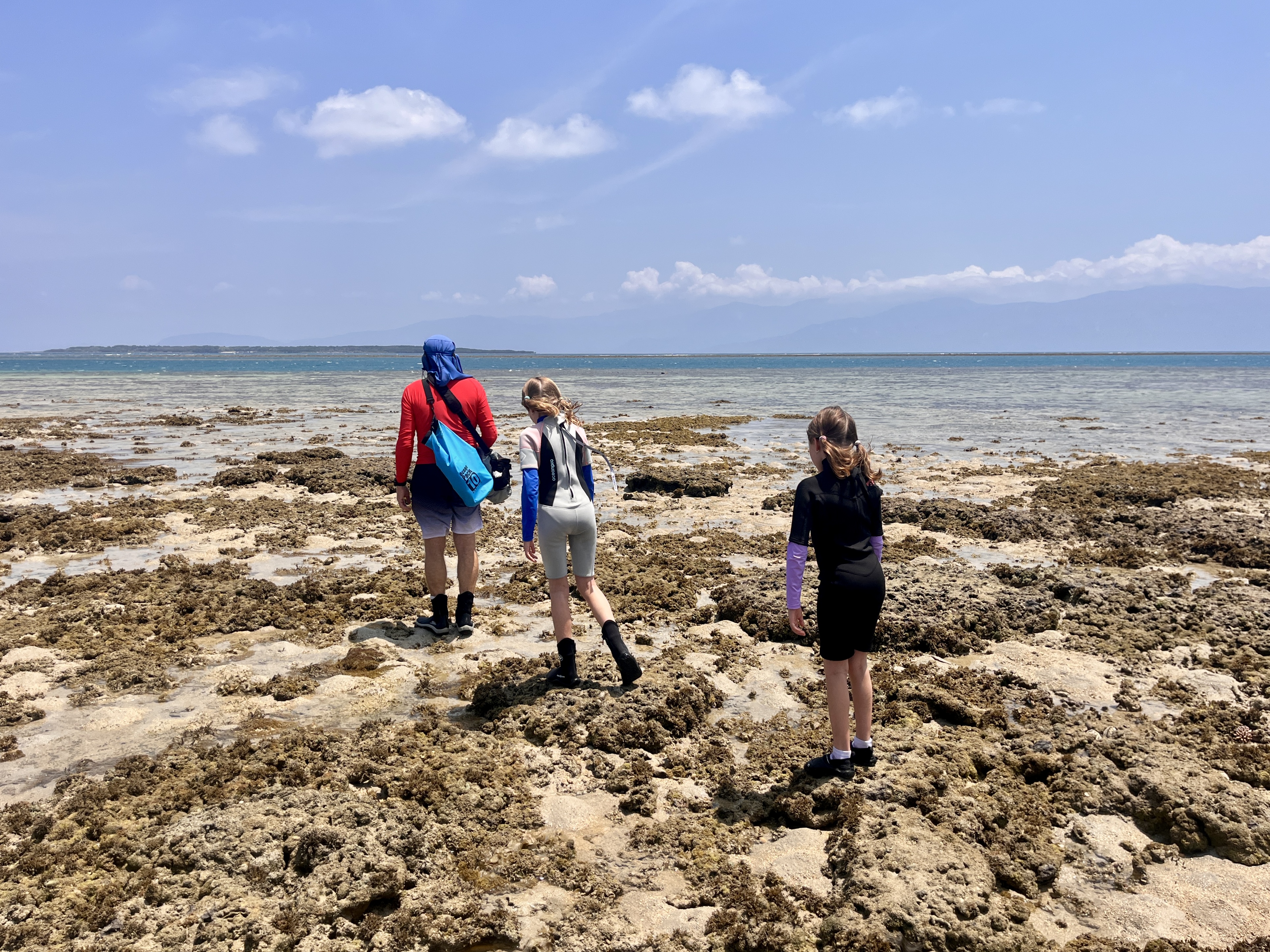 Low tide reef walk. Windy!