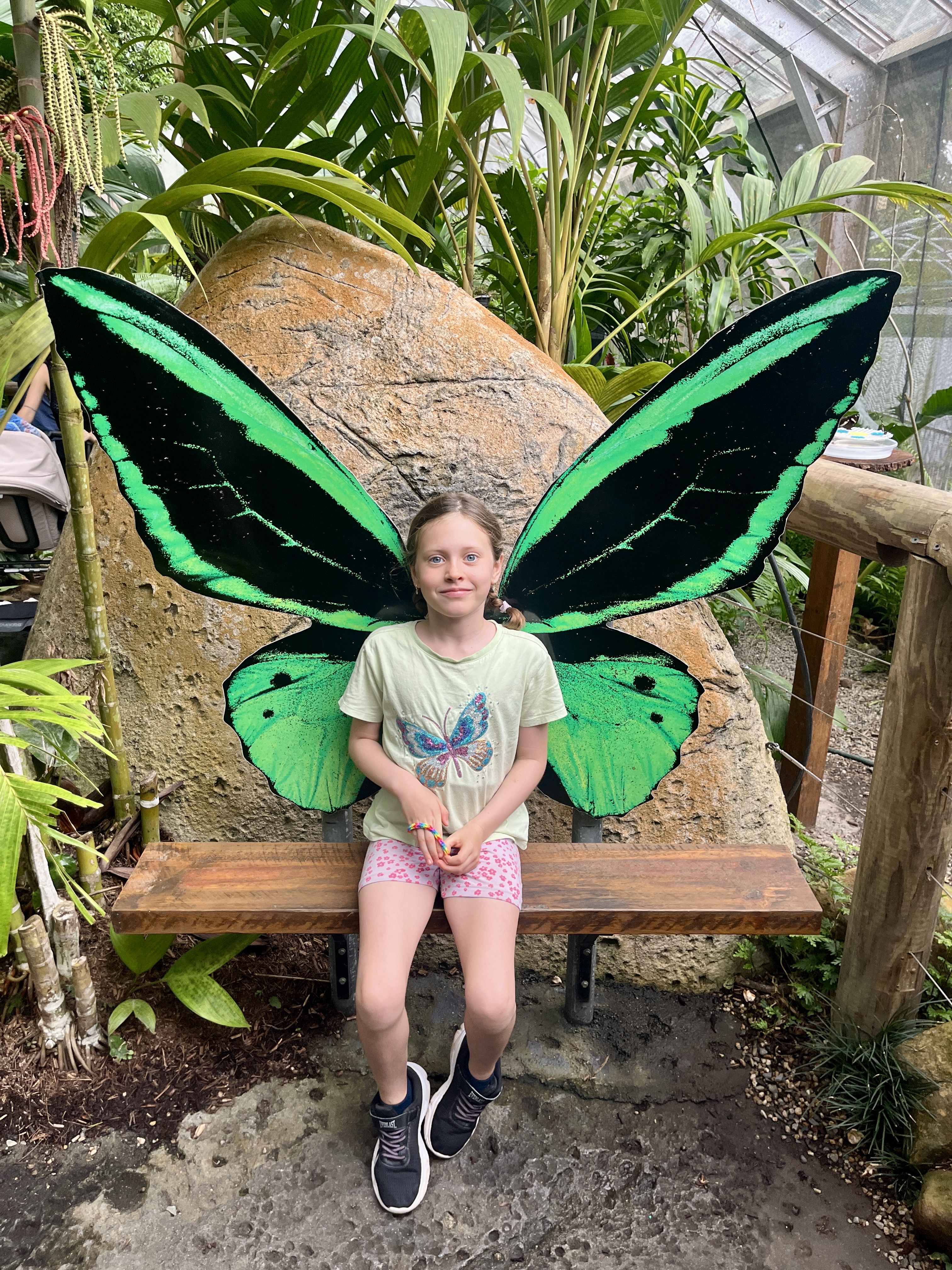 Emma the Butterfly