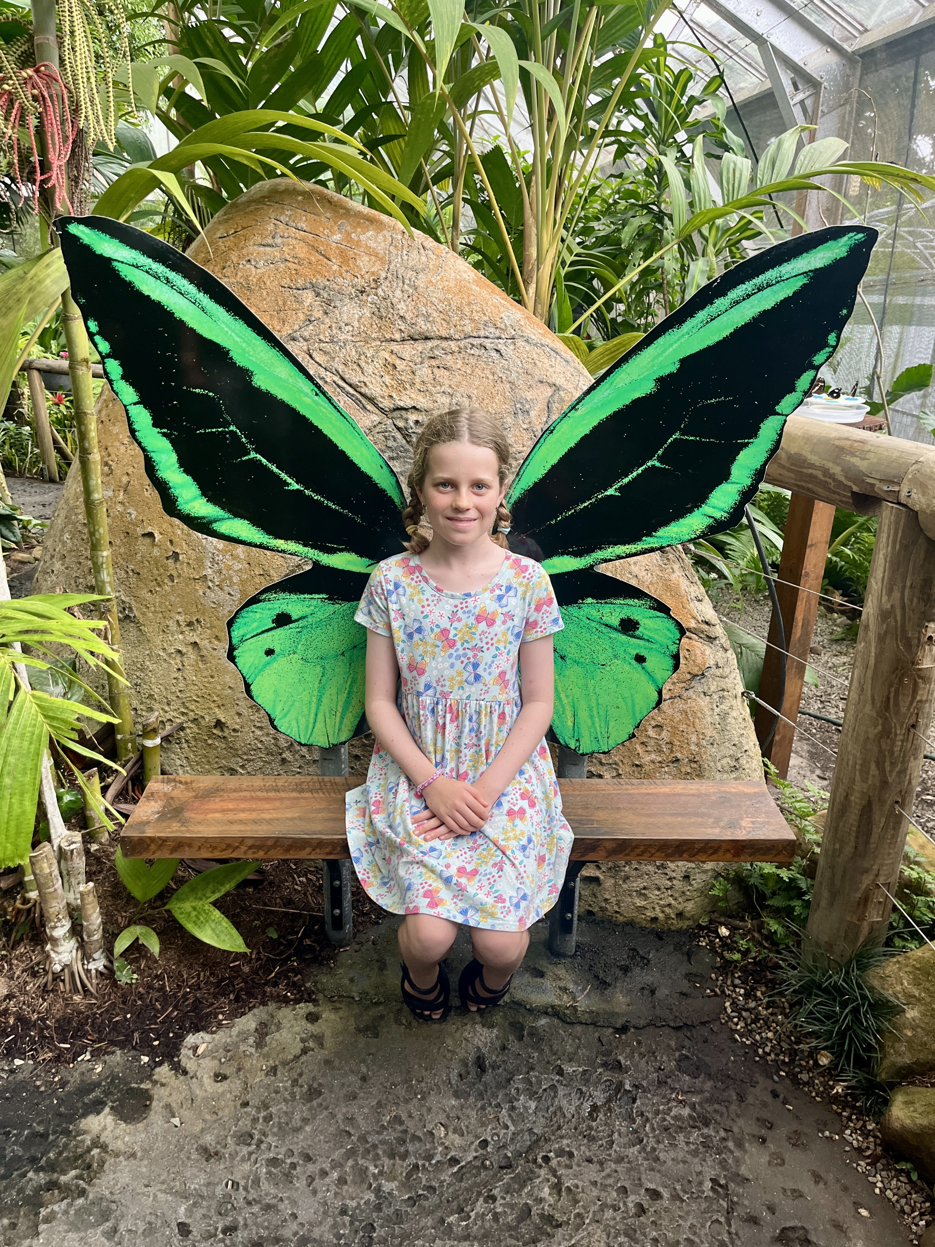 Kristina the Butterfly