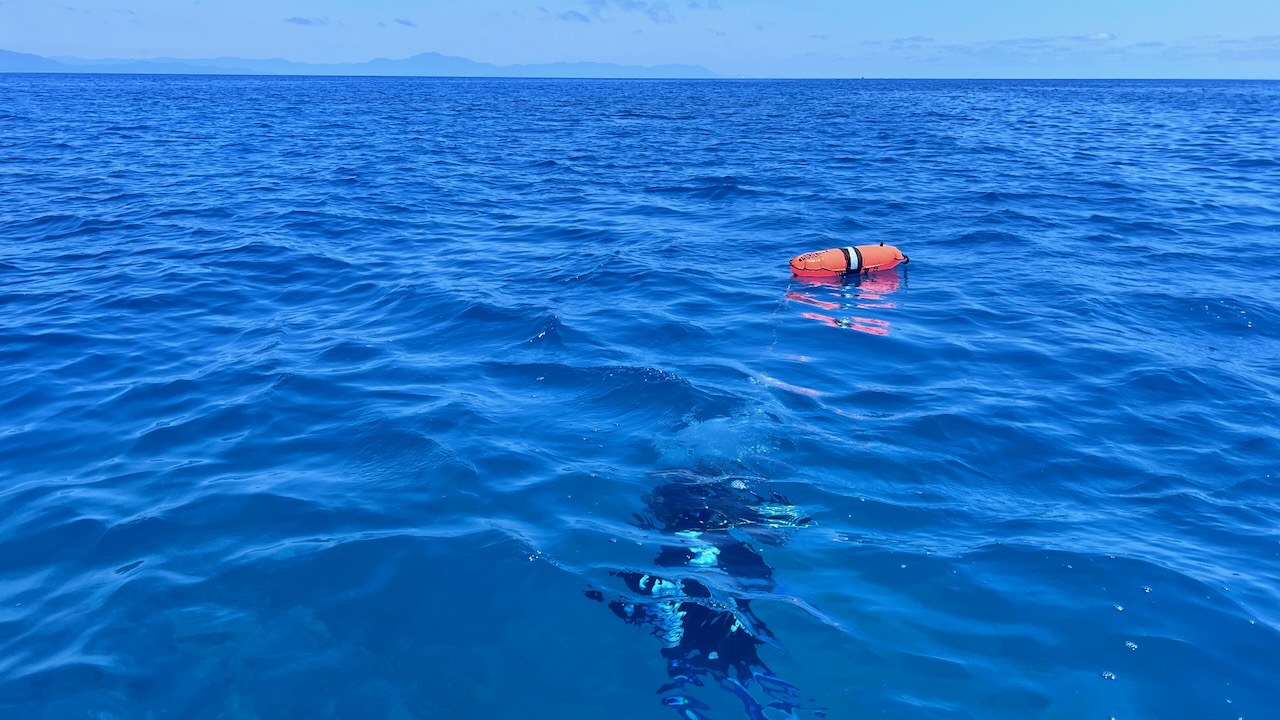 Kristie diving, good surface conditions
