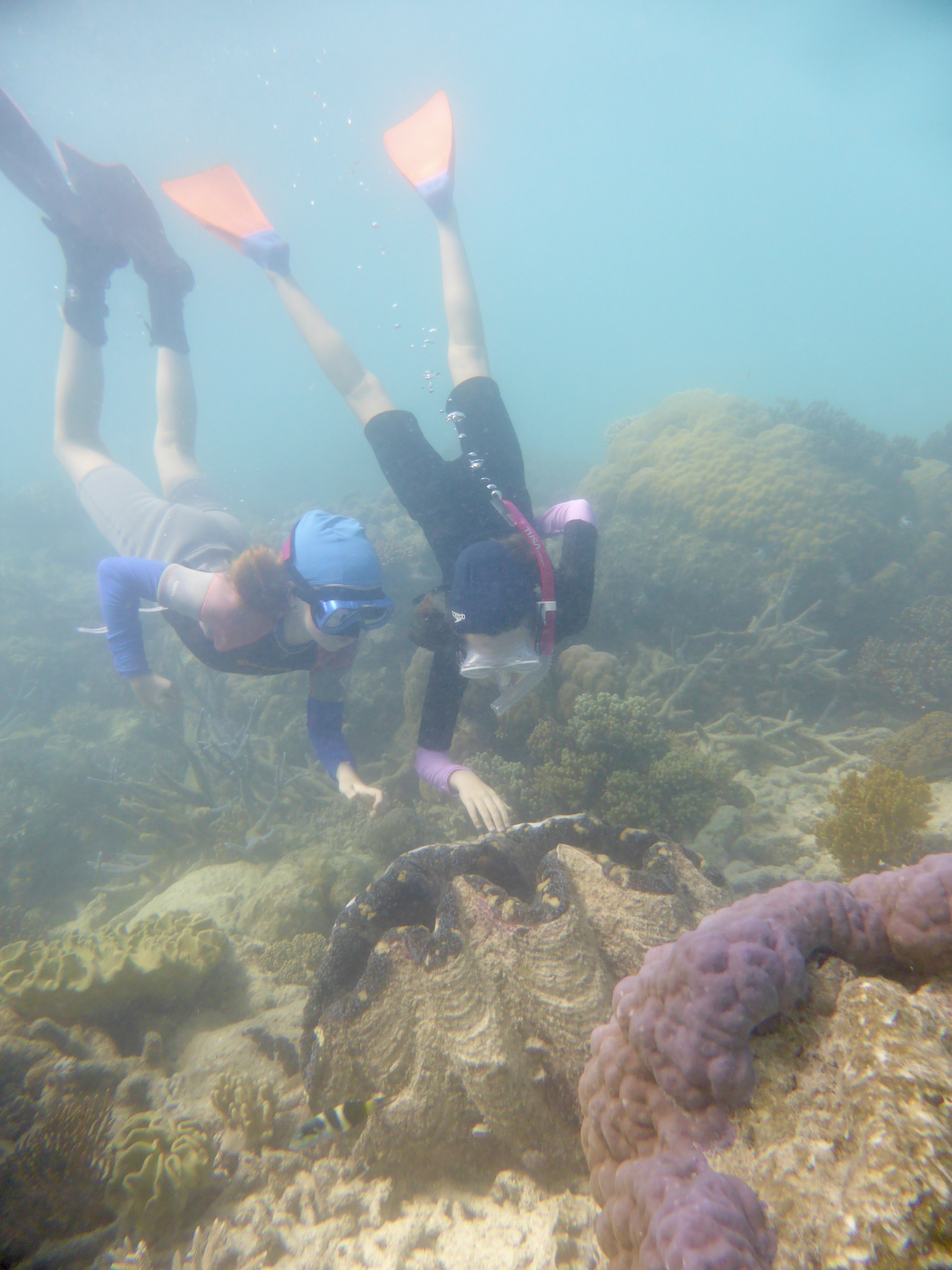The girls loved checking out the giant clams
