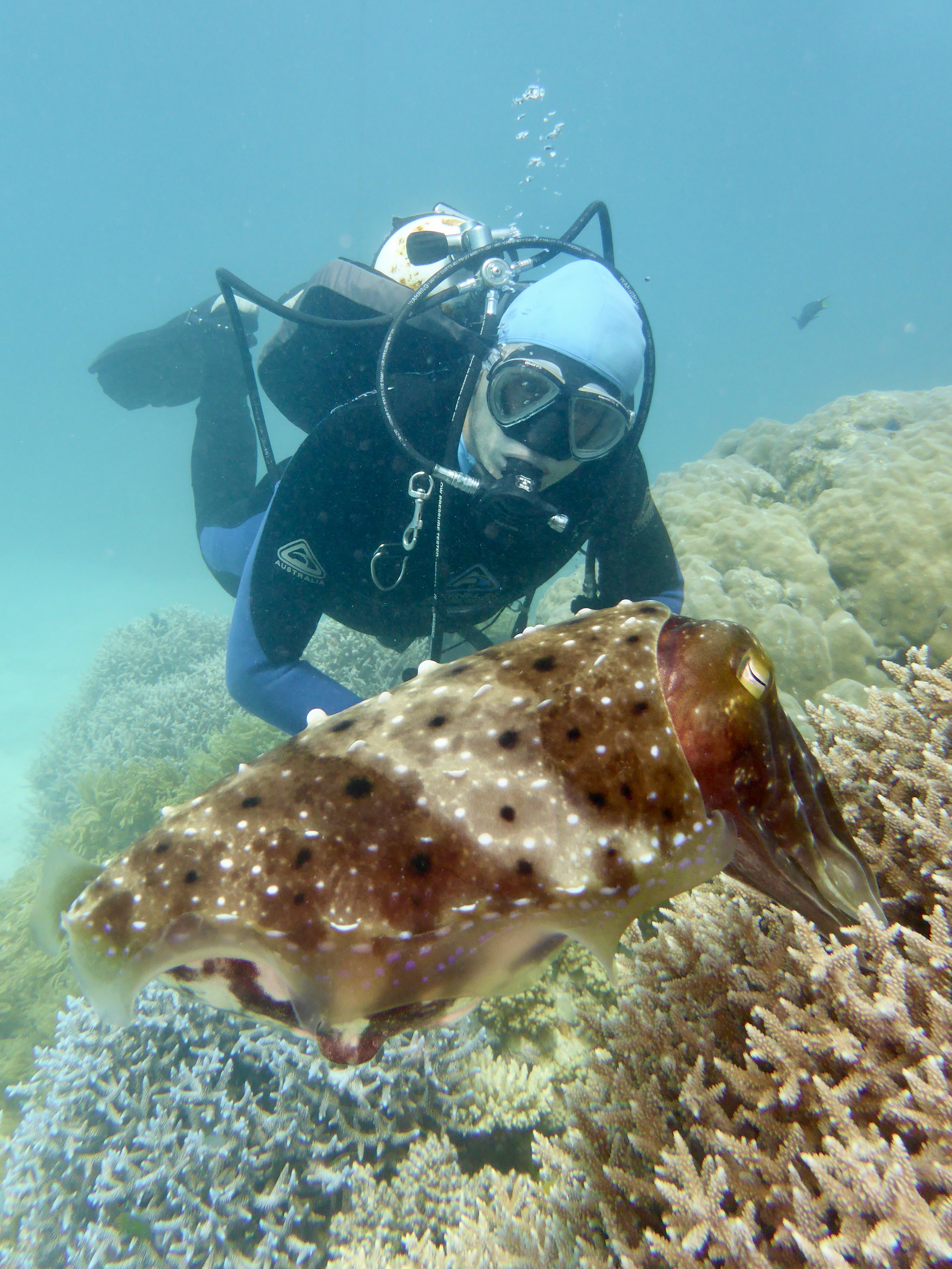 Hanging out with the large cuttlefish. Having to use Kristina's old swim cap to keep the sun off!