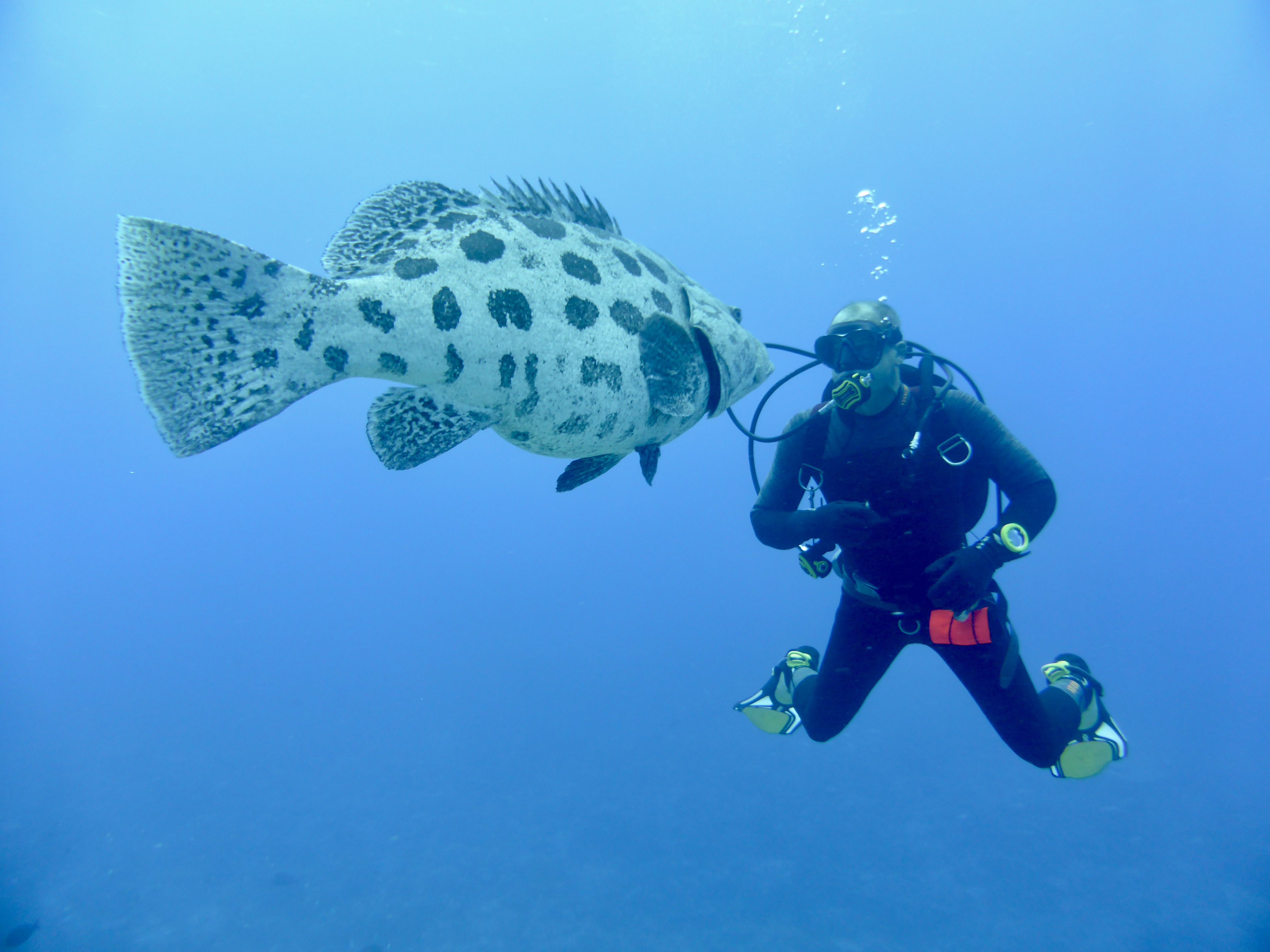 One of the Cod checking out Andrew