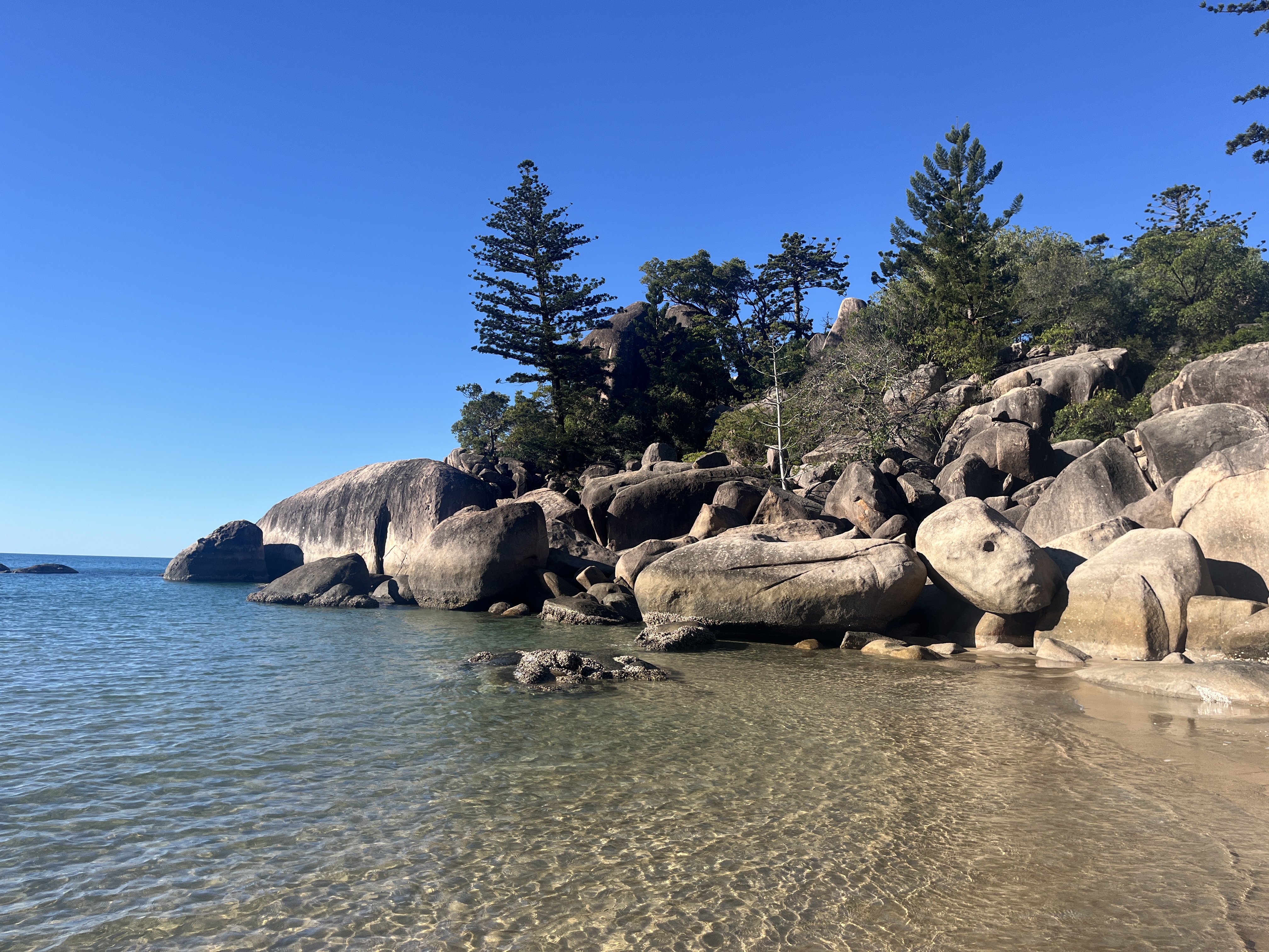 Radical Bay on Magnetic Island